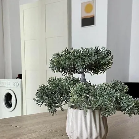 Trip Apartament Bukareszt