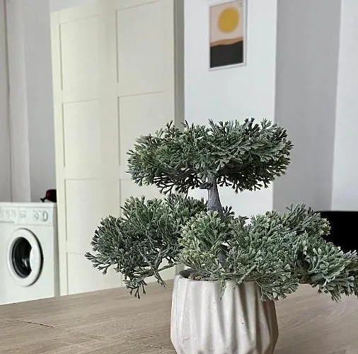 Trip Apartment Bukarest
